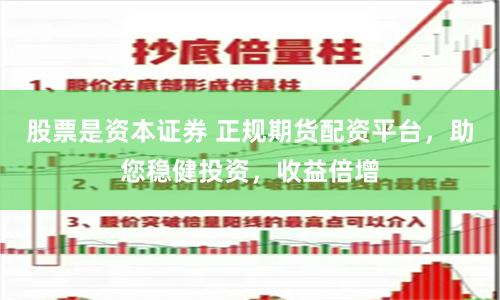 股票是资本证券 正规期货配资平台，助您稳健投资，收益倍增