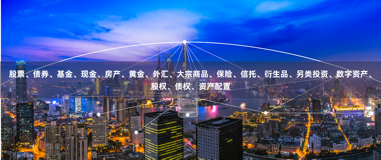 股票、债券、基金、现金、房产、黄金、外汇、大宗商品、保险、信托、衍生品、另类投资、数字资产、股权、债权、资产配置