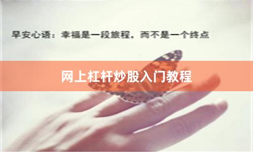 网上杠杆炒股入门教程